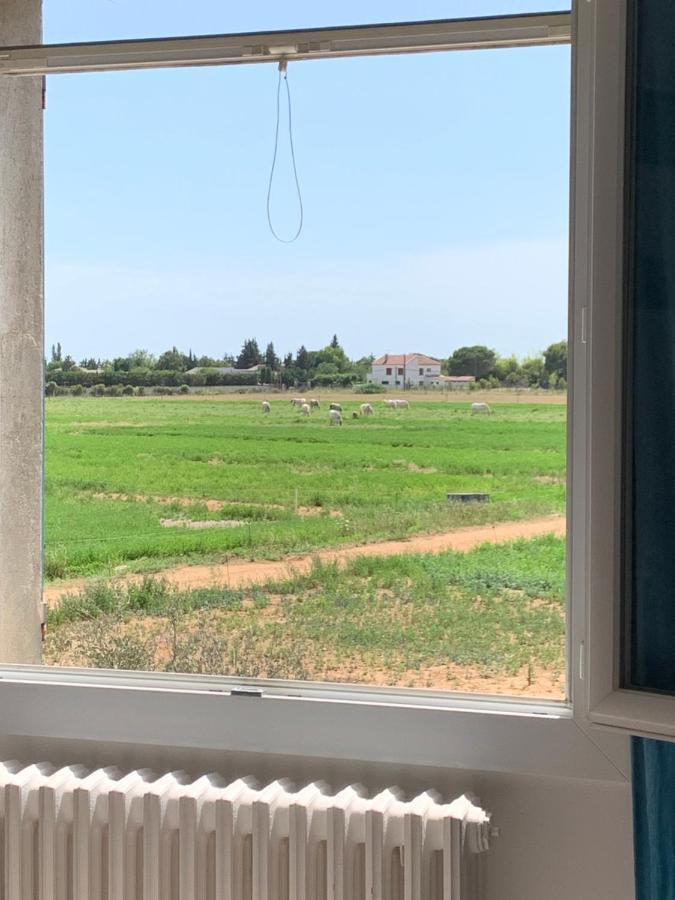 Mas D'Artaud Leilighet Arles Eksteriør bilde
